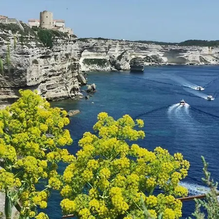 Havre De Paix Bastia (Corsica)