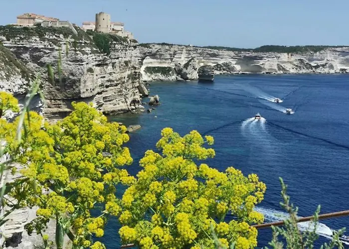 Havre De Paix Bastia (Corsica)